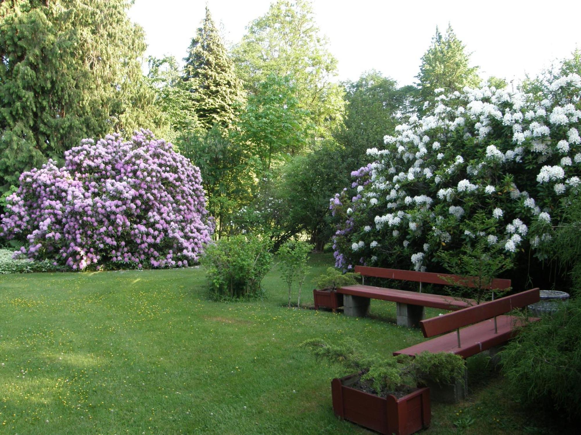 Cedar Wood Lodge Bed & Breakfast Inn Port Alberni Dış mekan fotoğraf