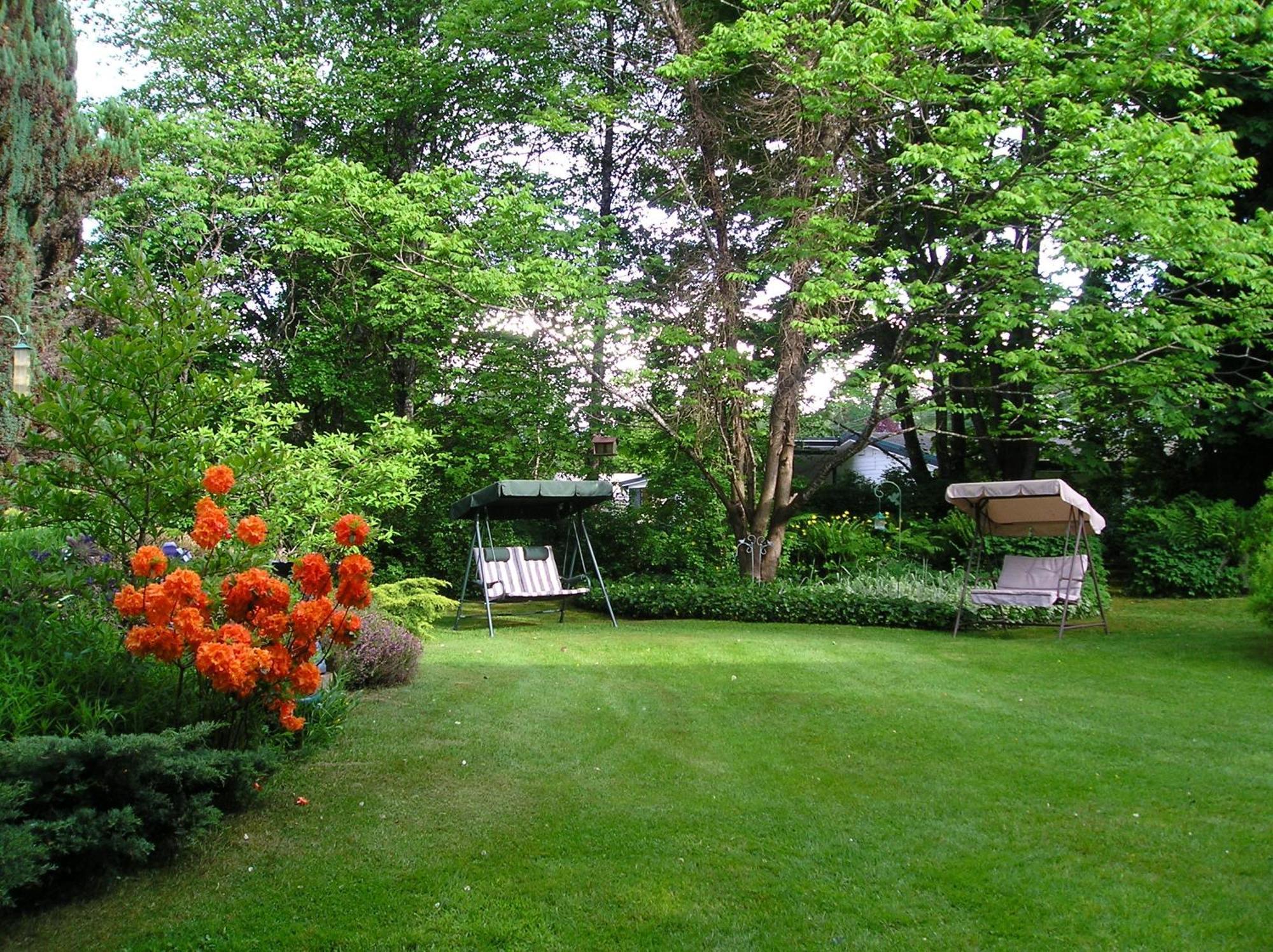 Cedar Wood Lodge Bed & Breakfast Inn Port Alberni Dış mekan fotoğraf